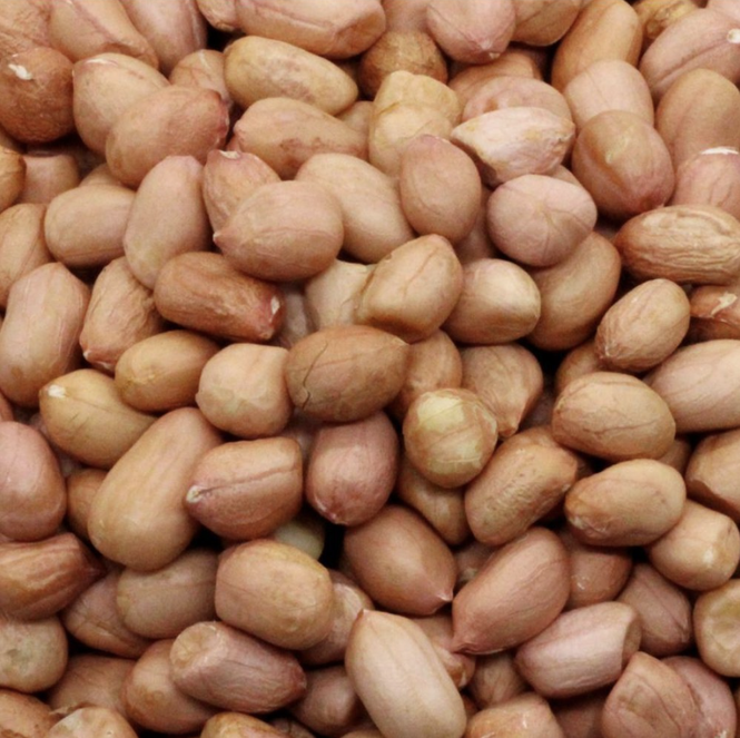 Jumbo Raw Peanuts